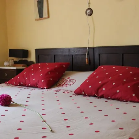Casa Coll-3